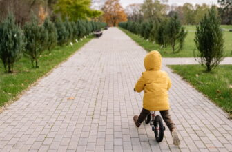 3 Greatest Bicycle For Youngsters 3 To five Years