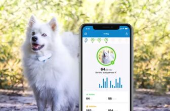 Wearables and cameras for animals