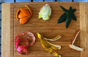 The easiest way to compost your meals scraps