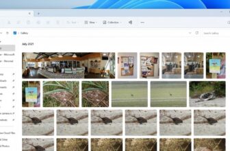 Home windows 11 preview brings the Photograph app’s ‘gallery’ view to File Explorer