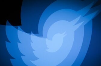 What did Twitter’s ‘open supply’ algorithm truly reveal? Not rather a lot.