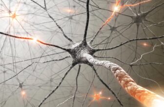 Silver Nanowire Networks Appears To Mimic Human Mind’s Studying and Reminiscence Skills