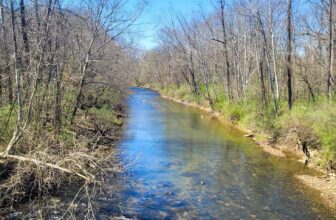 The Little Issues Publication #360 – Life, laughter, and many nice meals!