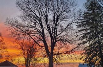 The Little Issues Publication #361 – Life, laughter, and plenty of nice meals!