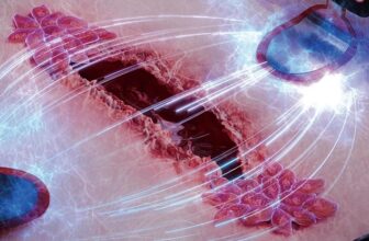 Scientists Harness The Energy Of Electrical energy To Speed up Wound Therapeutic
