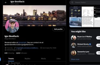 Twitter is roofed in Doge for no discernible motive