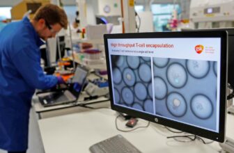 Scientists have efficiently engineered micro organism to combat most cancers in mice