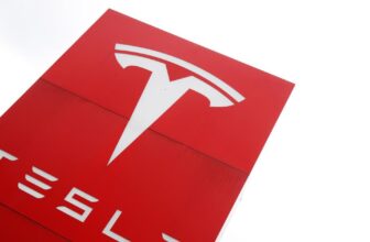 Tesla wins lawsuit over Autopilot Mannequin S crash