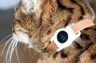 Discover My Kitty! Tile Introduces Bluetooth Tracker Cat Collar Accent