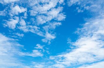 Jack Dorsey’s Bluesky is constructing a ‘market of algorithms’