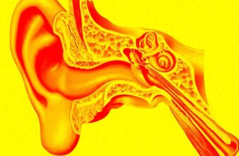 Restoring Misplaced Listening to: Scientists Make Progress In Cell Regeneration