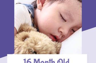 Sleep By means of the Evening and Naps