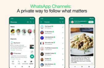 WhatsApp’s new Channels characteristic lets accounts ship one-way updates to followers