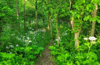 The Little Issues E-newsletter #367 – Life, laughter, and plenty of nice meals!