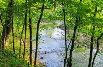 The Little Issues E-newsletter #368 – Life, laughter, and plenty of nice meals!