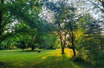 The Little Issues Publication #369 – Life, laughter, and many nice meals!