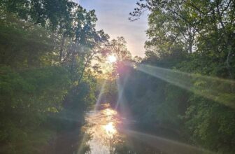 The Little Issues E-newsletter #370 – Life, laughter, and many nice meals!