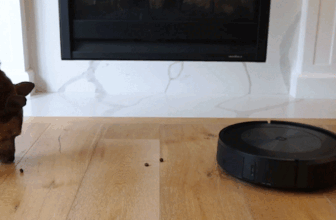 Roomba Deal with Dispenser May Finish Battle Between Canine and Vacuums