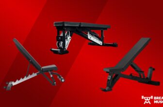 The 9 Finest Weight Benches for Your House Gymnasium (2023)