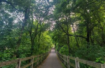 The Little Issues Publication #376 – Life, laughter, and many nice meals!