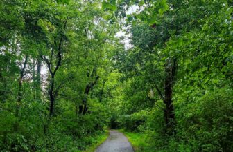 The Little Issues Publication #379 – Life, laughter, and plenty of nice meals!