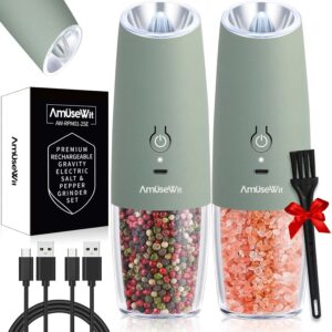 AmuseWit Gravity Electric Salt and ...