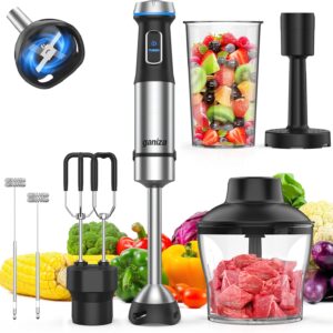 Ganiza Immersion Blender Handheld, ...