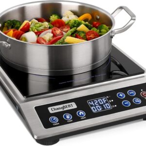 ChangBERT Portable Induction Cookto...