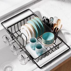 Dish Drying Rack in Sink – Ex...