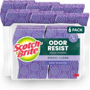 Scotch-Brite Odor Resist Non-Scratc...